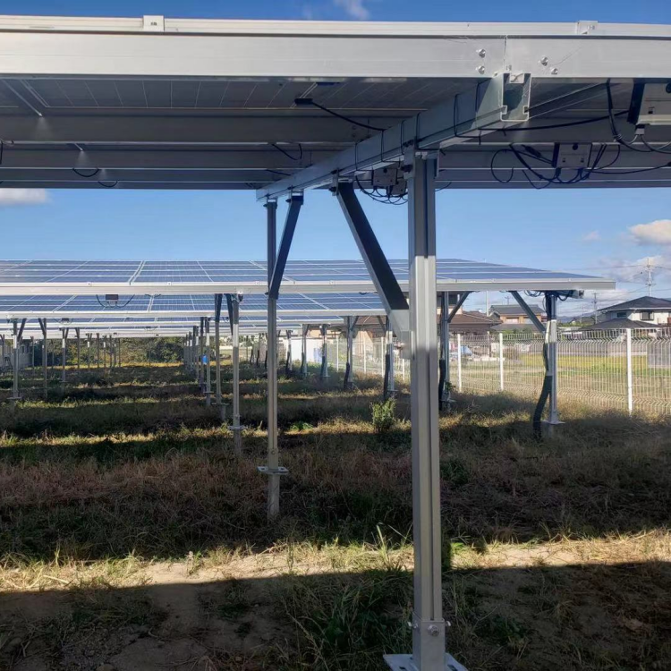 solar farm6 solar farm6